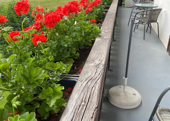 Haus Alpentraum * Patergassen